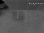 All-In-One-ティップレス (AIO-TL) AFMカンチレバーのレバーAとBを上方から見た時のSEM写真
