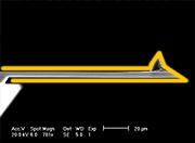 AFM Cantilever with Overall Gold Coating