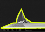 Silicon Nitride Coated AFM Tip