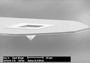 Silicon Oxide AFM Tip