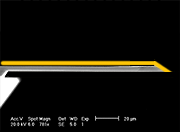 AFM Cantilever with Topside Gold Coating