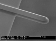 Ultra-Short AFM Cantilever