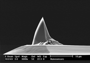 Uncoated AFM Tip