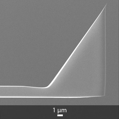 Arrow™ AFM Tip