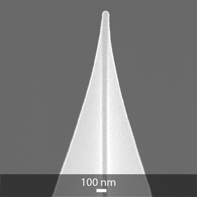 OPUS コバルトアロイ磁性膜コート AFM 探針のSEMイメージ