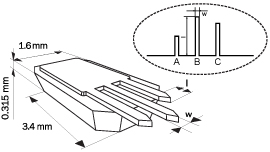 Schematic of 3 tipless AFM cantilevers on CSC series chip