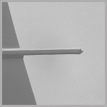 SEM image of single cantilever AFM probe