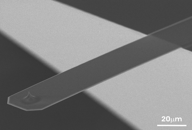 SEM Image of an uniqprobe cantilever