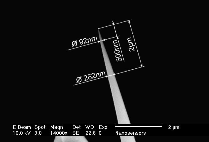 Close-up view SEM image of AR5T high aspect ratio AFM tip