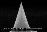 SEM image of DT diamond coated AFM tip