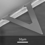 SEM image of XNC12 AFM tip.jpg
