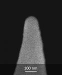 コバルト磁性膜コートAFMプローブ探針のSEMイメージ