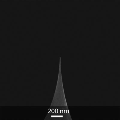 Close-up SEM image of OPUS carbon nanofiber AFM tip FG