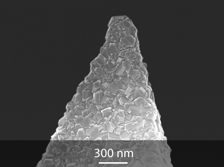 MikroMaschダイヤモンドコートAFM 探針のSEMイメージ　拡大