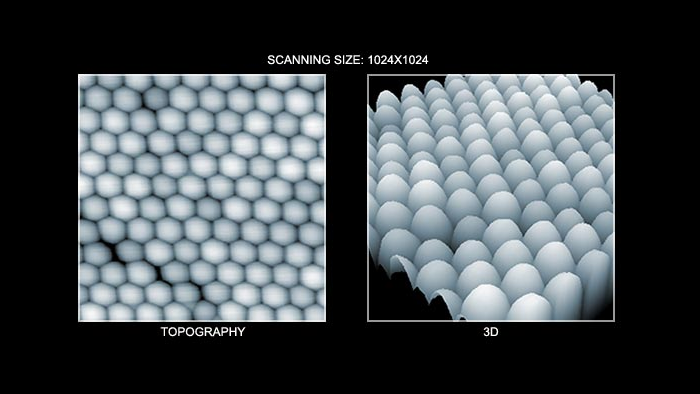Nanoparticle array