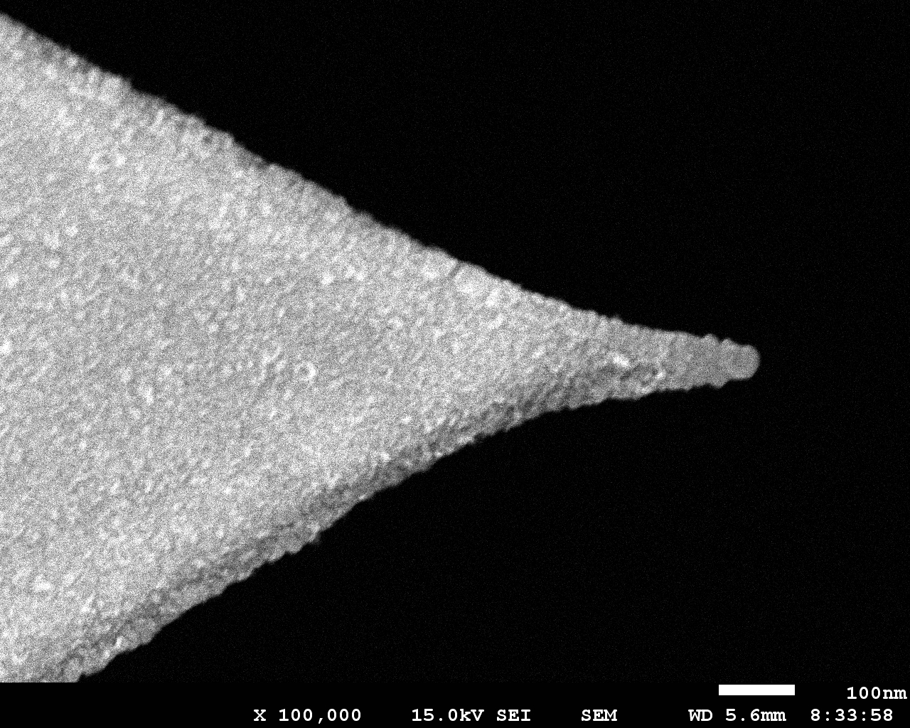 SEM image of platinum silicide (PtSi) AFM tip