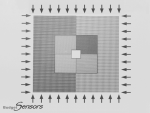 CS-20NG AFM キャリブレーションナノグリッドのSEM画像