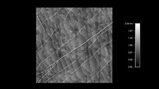 Carbon nanotubes and bundles on quartz atomic steps