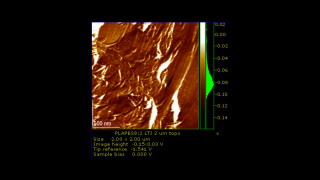 ブレンドされた2つの生体高分子と相溶化剤