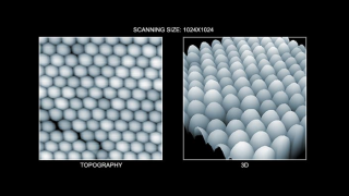 ナノパーティクルの形状 (左図) とその3D表示(右図)