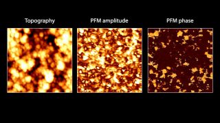 多結晶Pb(Zr0.3Ti0.7)O3 薄膜の表面形状 (左), PFM アンプリチュード (中央) PFM 位相 (右)