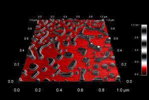 水でエッチングした石膏結晶