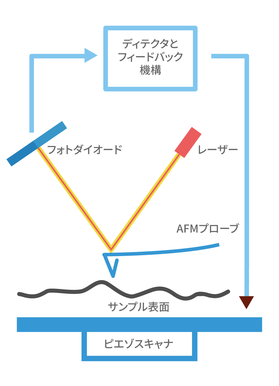 Fig. 1. AFM Schematic.