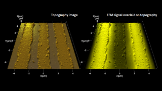 タッピングモード表面形状（左）と、絶縁基板上の金属細線の形状画像に重ねた静電力顕微鏡画像（右）。 EFM で、3V にバイアスされた 2 本のラインと、中央のグランドラインを判別できます。