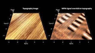 Tapping mode topography (left) and magnetic force microscopy overlaid on topography (right) images of the surface of a harddrive platter. MFM reveals the hidden bits of information stored by magnetizing small regions of a ferromagnetic film.
タッピング モードの形状像(左) と、ハードドライブ の表面の形状像 にオーバーレイした磁気力像(右)。 MFM は、強磁性膜の小さな領域を磁化することで、隠された磁気ビット情報を可視化できます。