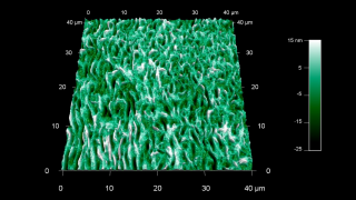 コラーゲンは私たちの体内で最も豊富なタンパク質であり、総タンパク量の約30％を占めていることをご存知ですか？