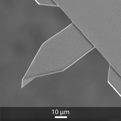 Did you know, OPUS by MikroMasch® product line features the 55AC AFM probes? - news
