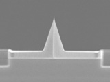 Olympus OMCL-AC55 AFM 探針のSEMイメージ