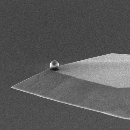 Colloidal AFM Tip