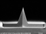 Front view SEM image of Olympus OMCL-AC240TM AFM Tip