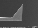 Side view SEM image of Olympus OMCL-AC240TM AFM Tip