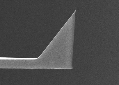 Olympus OMCL-AC200TS AFM 探針のSEMイメージ