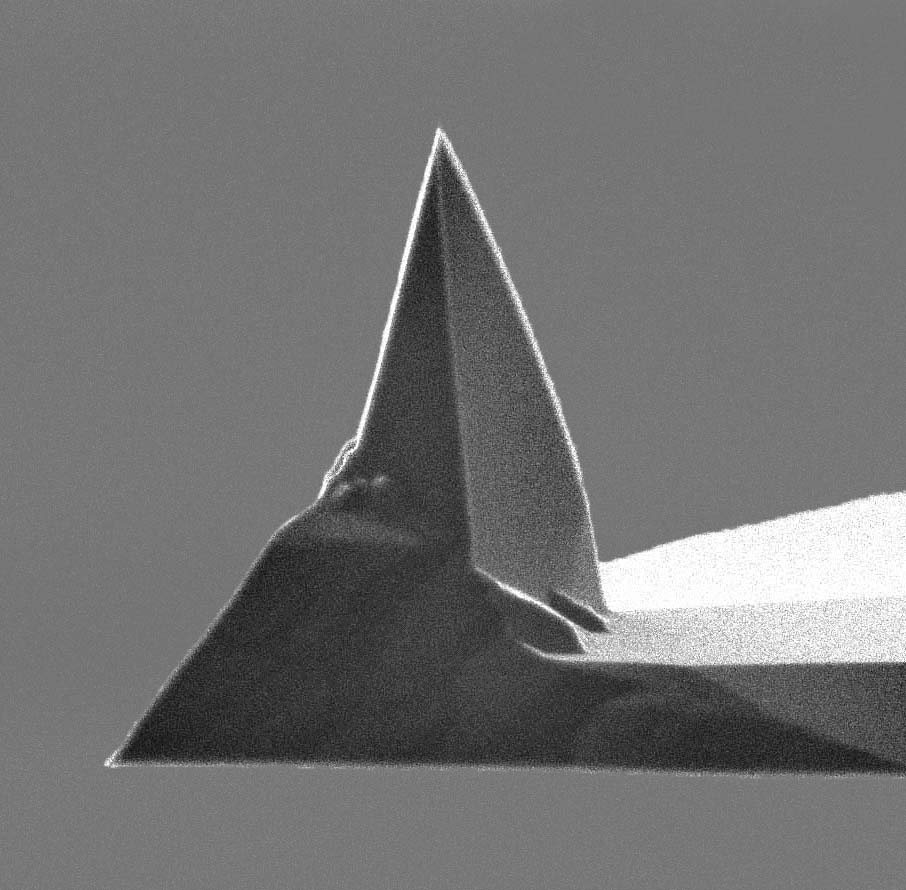 AFM tip of MikroMasch AFM probe with 4 different applications AFM cantilevers