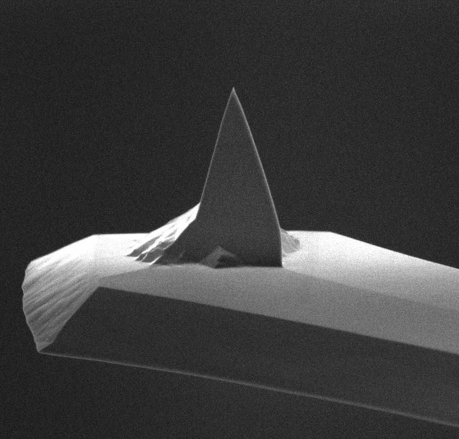 AFM tip of MikroMasch soft tapping and lift mode AFM probe