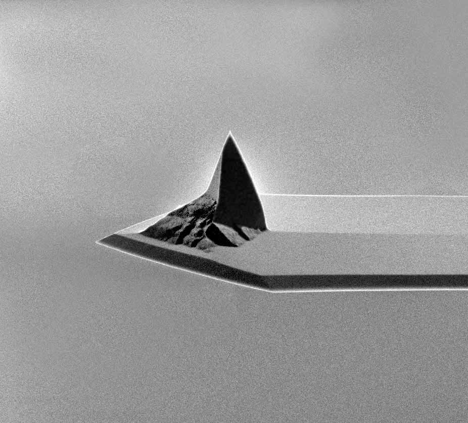 AFM cantilever of MikroMasch lateral force microscopy AFM probe