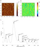 Infrared nanospectroscopic imaging of DNA molecules on mica surface in Resonance Enhanced AFM-IR mode