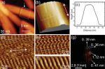 OPUS 160AC-NG AFM probes support the characterization of chitin nanocrystal surfaces with atomic resolution