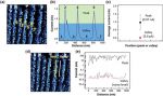 ElectriMulti75-G AFM probes perform Conductive AFM (CAFM, C-AFM) and Kelvin Probe Force Microscopy (KPFM) measurements