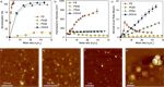 AFM imaging  performed in light tapping mode with MikroMasch HQ:NSC18/Al BS AFM probes