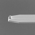 sQube® コロイド AFM プローブのSEMイメージ CP-qp-CONT-Au-A