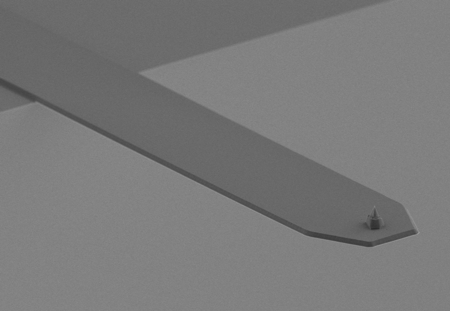 MikroMasch® SelfAdjust-AirのSEM画像