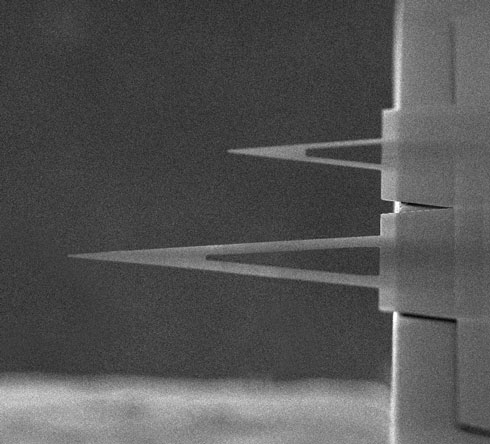NanoWorld® PNP-TR-TL-Au