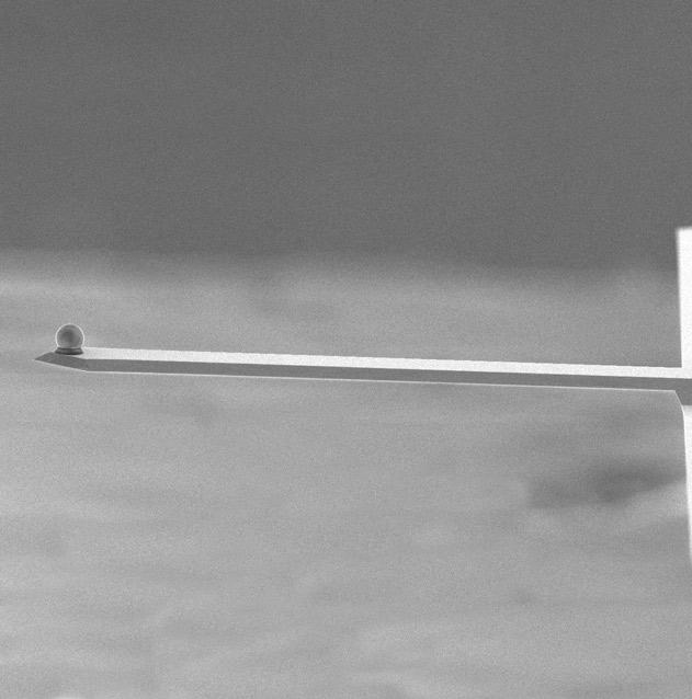 NANOSENSORS™ TL-FM