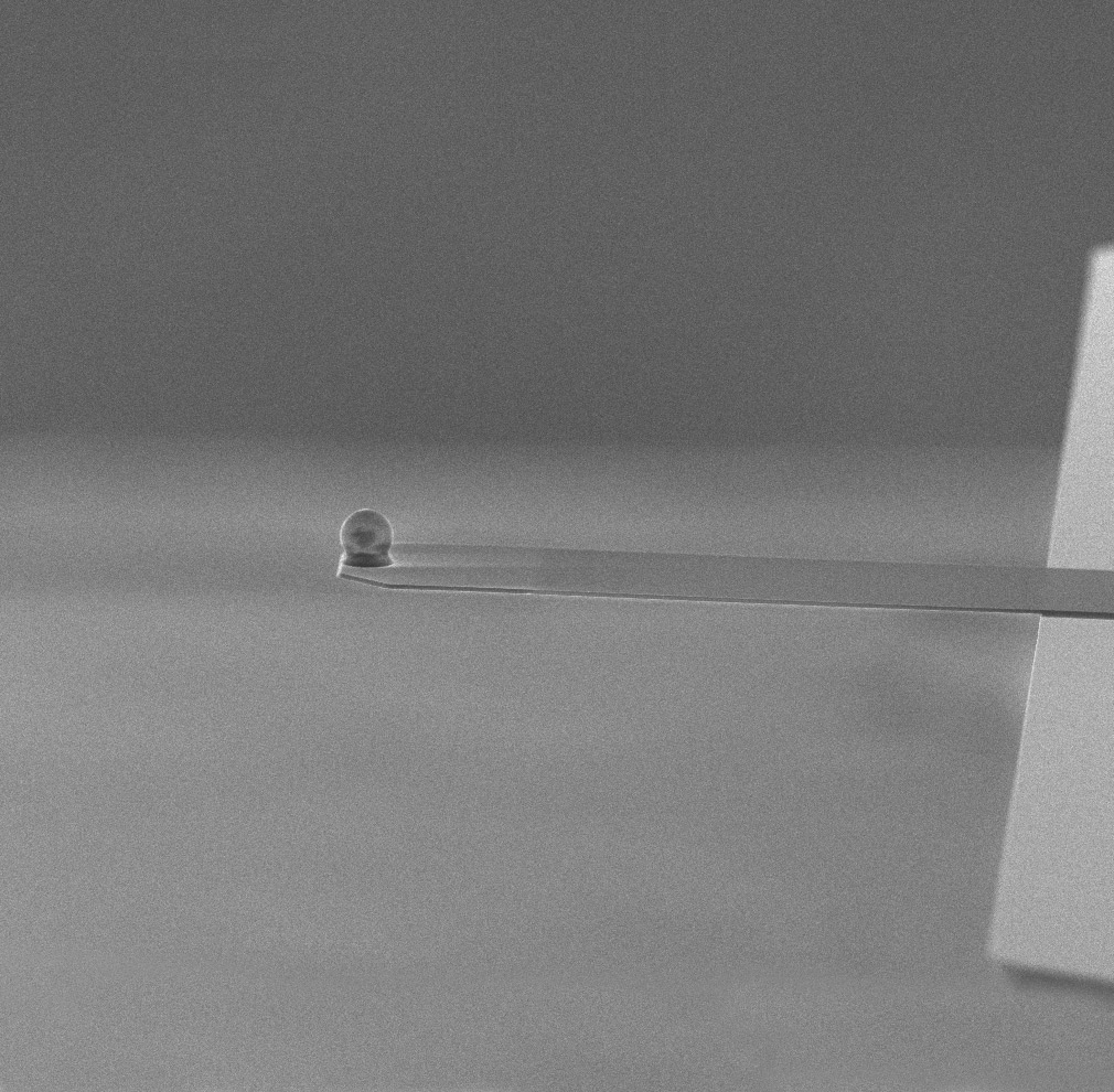 NANOSENSORS™ SD-qp-CONT-TL